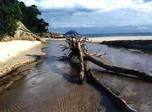 Praia do Itaguaré